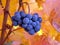 Red wine berries against autumnal leaves