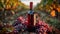 A red wine bottle in front of a landscape of grape farmland.