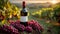 A red wine bottle in front of a landscape of grape farmland.