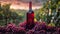 A red wine bottle in front of a landscape of grape farmland.
