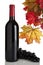 Red wine bottle, grapes and fall leaves