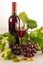 Red wine bottle with green vine leaves, grapes and a glass full of wine