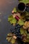 Red wine Cabernet Franc in  glass and bottle on  dark background with autumn grape leaves, top view