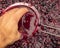 Red wine fermentation in process. Hand take a cup of wine. a glass of wine juice. Wine making concept