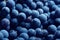 Red wine grape. Dark grapes background. Isabella grape. Blue grapes. Grape vine.