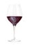 Red wine grapes, dark purple, in a glass, creative collage. Classic wineglass