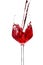 Red wine is pouring into a glass goblet on a white background.