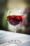 Red wine sangria spanish drink glass