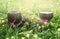 Red wine in two glasses in grass