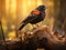 Red winged blackbird  Made With Generative AI illustration