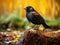 Red winged blackbird  Made With Generative AI illustration