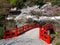 Red wooden bridge near Minoh waterfall