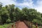 Red wooden bridge walkway leading straight out of the mangrove forest.