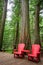 Red wooden chairs on Hemlock Grove Boardwalk trail, Glacier National park, Rocky Mountains, Bristish Columbia Canada