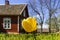 Red wooden cottage with a yellow tulip