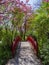 Red wooden crossing bridge and blossoming trees in a Japanese Garden, Vertical shot