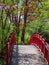 Red wooden crossing bridge and a lion sculpture in a Japanese Garden. Vertical shot