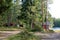 Red wooden finnish cabins cottages in green pine forest near river. Rural architecture of northern Europe