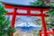 A red wooden gate at Arakura Sengen Shrine with Mount Fuji in the background in Japan