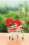 Red wooden heart in the trading cart. concept of buying love. nature background. Health care and purchase of medicines. Health