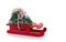 Red Wooden sled with Chrisstmas Tree