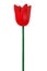 Red wooden tulip
