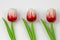 Red wooden tulips with green stems and leaves on a white background, ornament background pattern. Artificial flowers made of wood