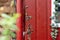 red wooden wall with ivy plants