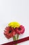 Red and yellow Barberton daisies attached to a white background with red tape
