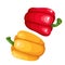 Red and Yellow Bell Peppers