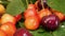 Red and Yellow Cherries Fruit with Water Drops and Tree Branch with Green Leaves