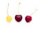 Red and yellow cherries on white background
