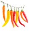 Red yellow chilli peppers isolated on white