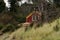 Red and yellow details of a cottage near Seashore State park