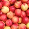 Red and yellow fresh nectarines, food background peaches