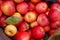 Red and yellow Gala apples at a farmers market