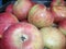 Red, yellow and green apples jonagored background texture. fruit. Apple production.