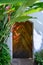 Red and yellow Heliconia blooming in a garden, wooden door in background, Arusha, Tanzania