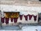 Red and Yellow Hides Drying in Moroccan City Fes