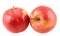 Red-yellow Jonathan apples, isolated