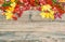 Red yellow leaves berries Autumn background. Vintage style