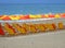 Red and Yellow Loungers and Umbrellas on Sandy Beach