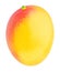 Red-yellow mature mango isolated on a white