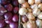 Red and Yellow Onions Inside Cardboard Boxes at a Farmers Market