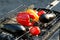 Red and yellow pepper, eggplant, tomato on the grid grill