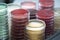 Red and yellow petri dishes stacks in microbiology lab on the bacteriology laboratory background.