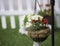 Red and Yellow Petunias in Hanging Basket