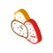 red yellow potatoes isometric icon vector illustration