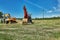 Red and yellow powerful crawler excavators standing on a grassy area. Rent, rent for earthworks.