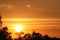 Red and yellow sky, with the setting sun, waves of flaming clouds and dark shadows of trees and forests in the background